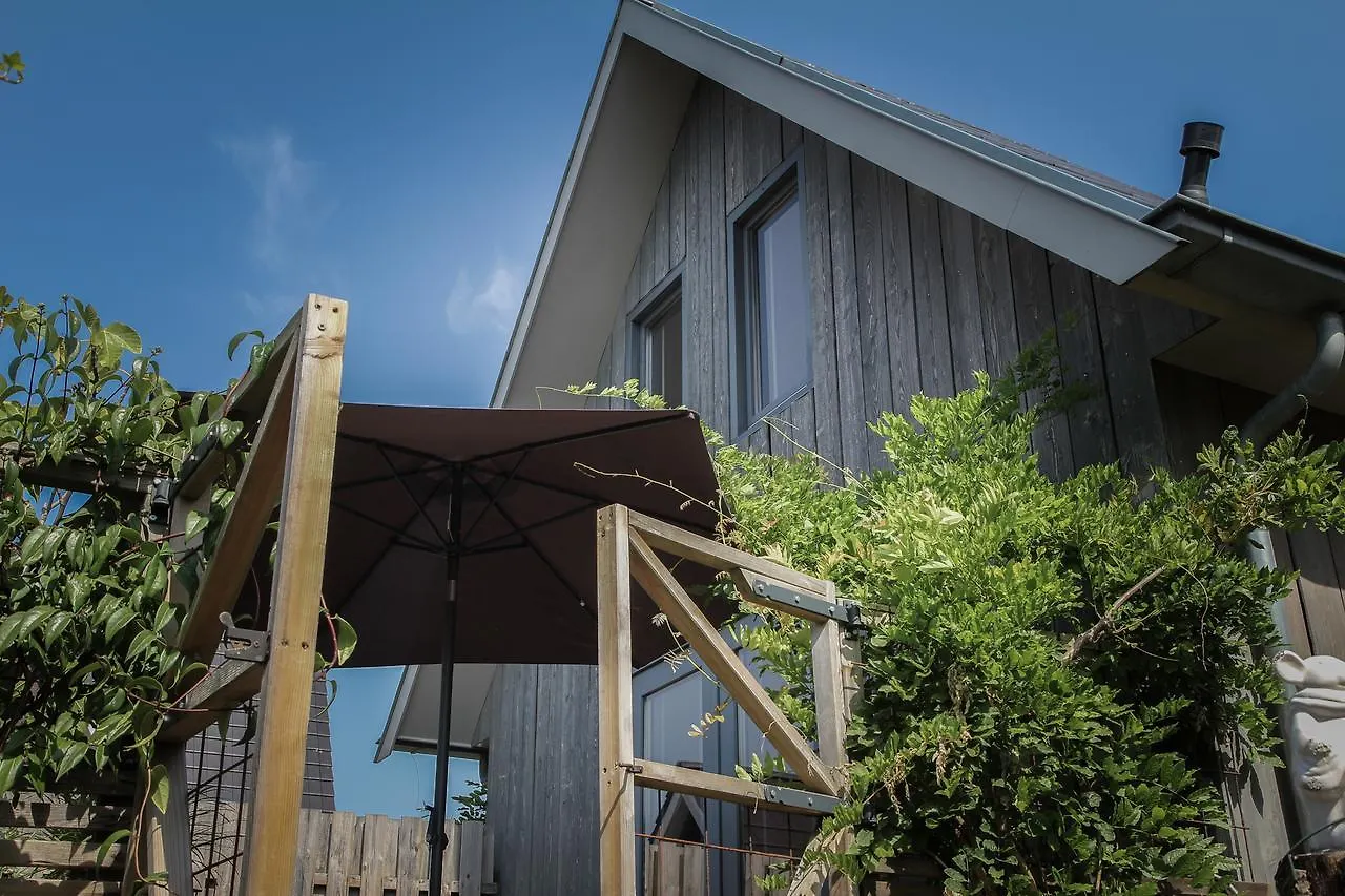 Homestay De Greenhouse Apartment Amsterdam